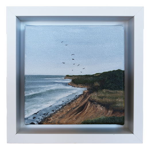 Mini #27 - 2025 Collection