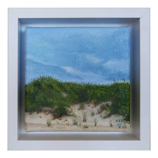 Mini #29 - 2025 Collection