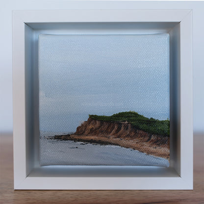 Mini #36 - 2025 Collection