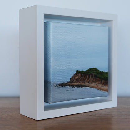 Mini #36 - 2025 Collection