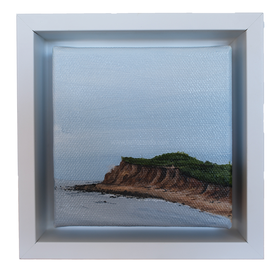 Mini #36 - 2025 Collection