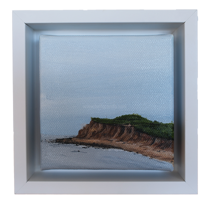 Mini #36 - 2025 Collection