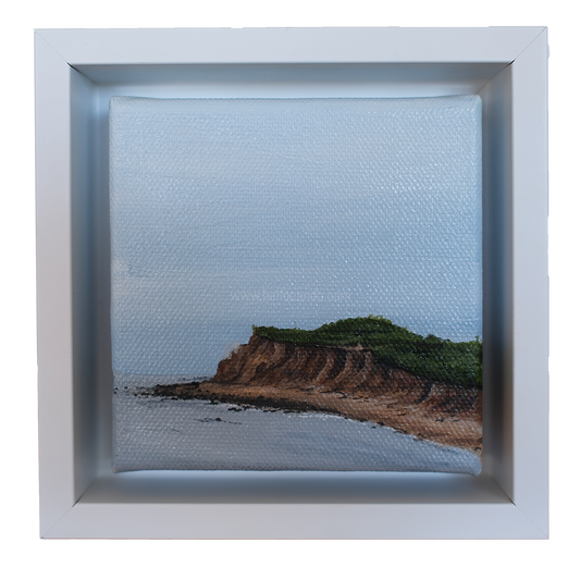 Mini #36 - 2025 Collection