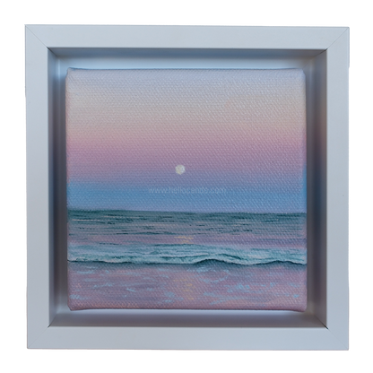 Mini #38 - 2025 Collection