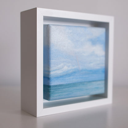 Mini #49 - 2025 Collection