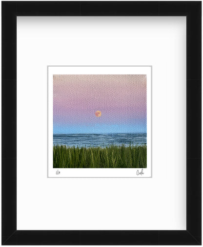 Mini #10 2024 Collection - Mini Print - Limited Edition