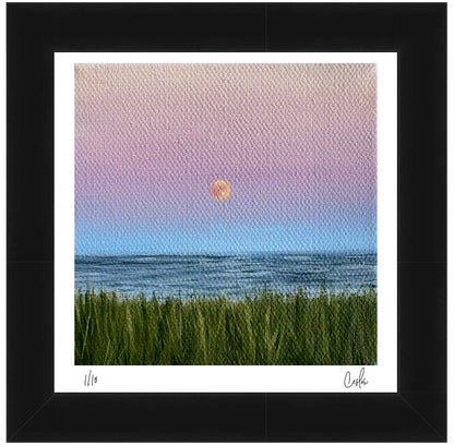 Mini #10 2024 Collection - Mini Print - Limited Edition