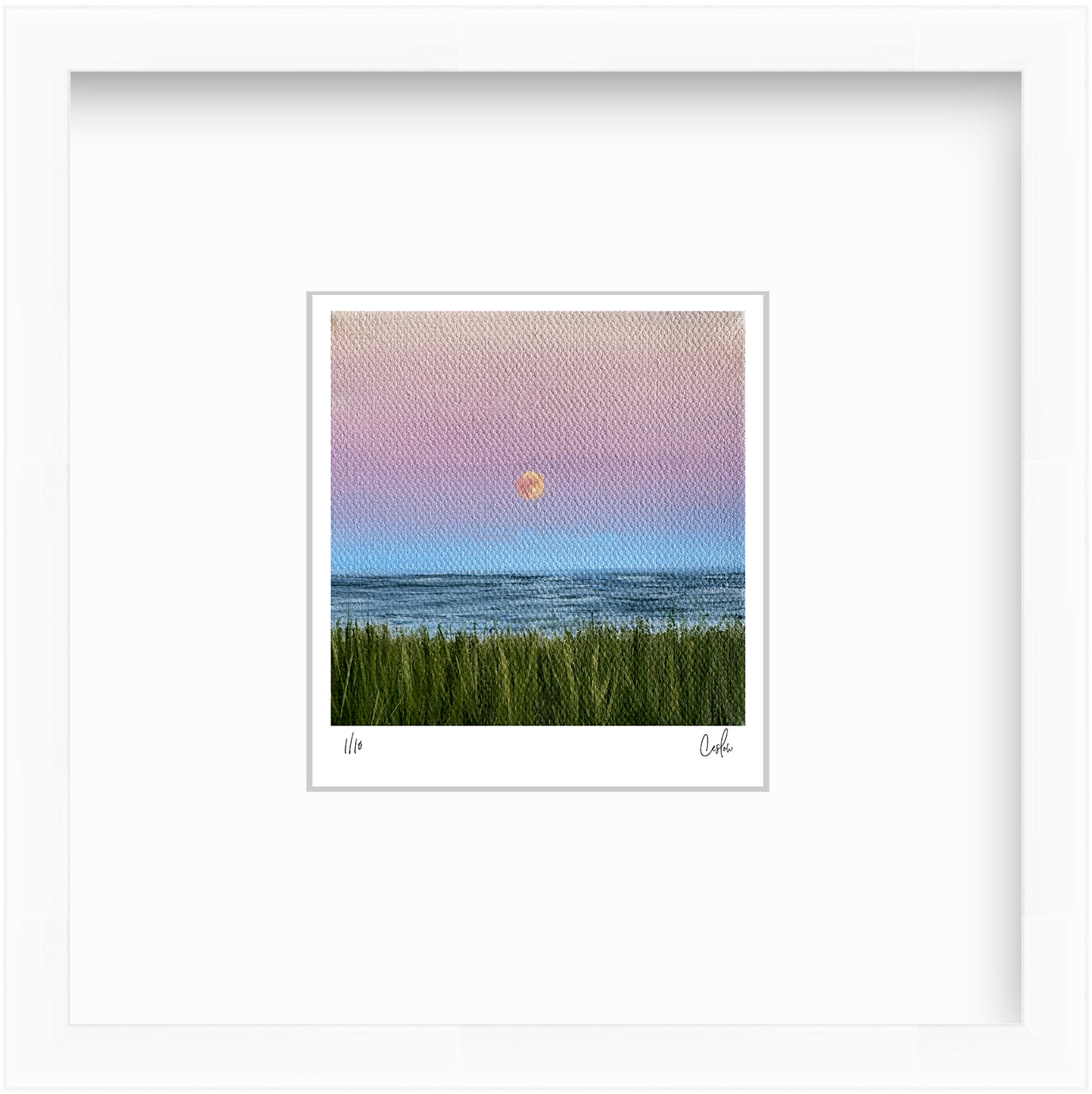 Mini #10 2024 Collection - Mini Print - Limited Edition