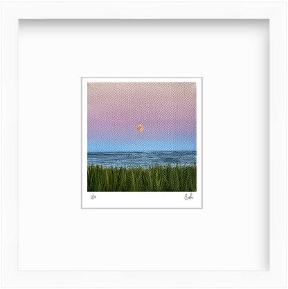 Mini #10 2024 Collection - Mini Print - Limited Edition