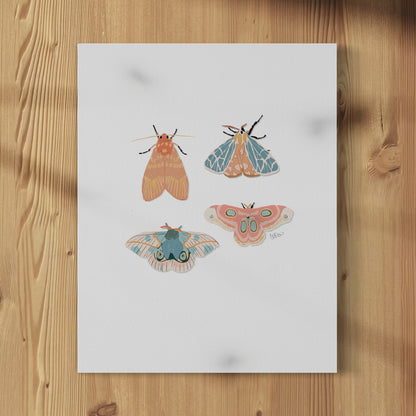 Moths - Print