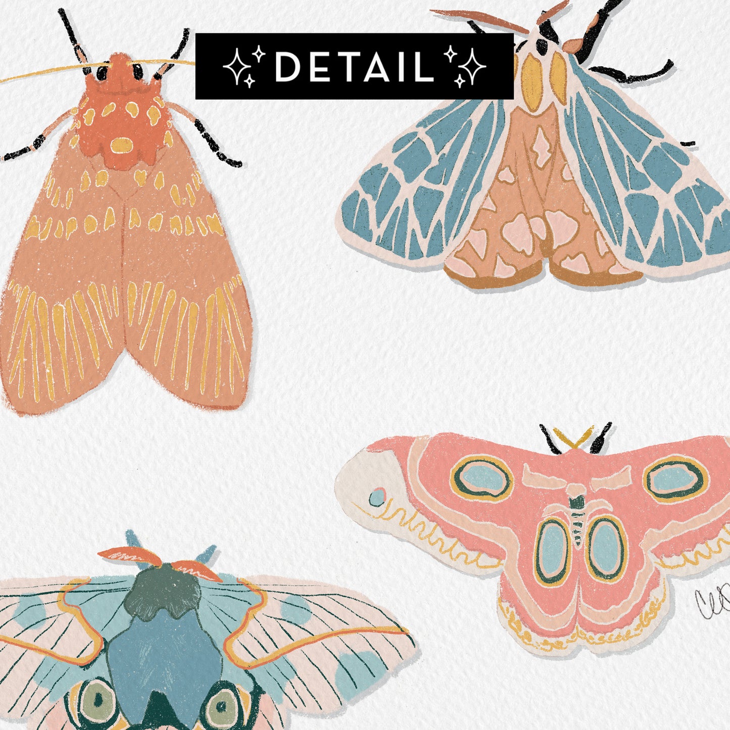 Moths - Print