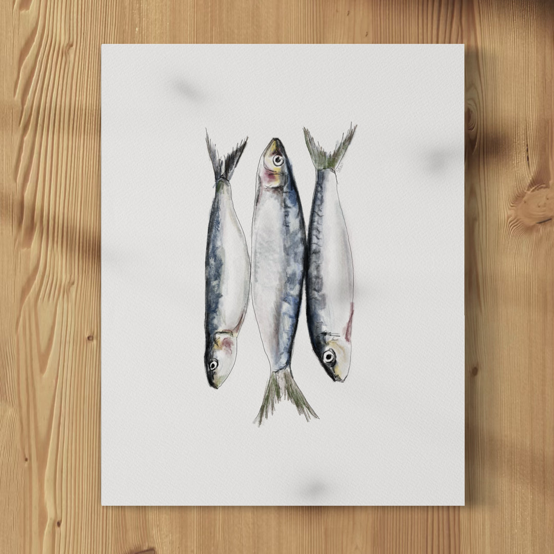 Packed Sardines - Print