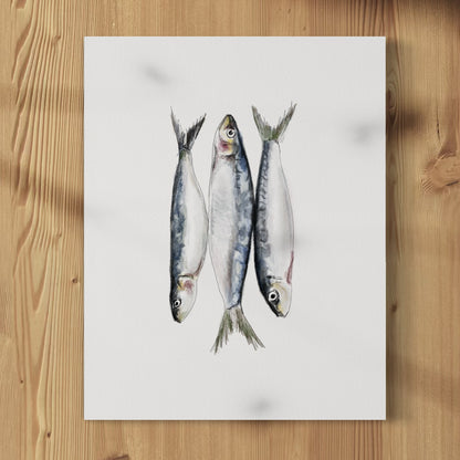 Packed Sardines - Print