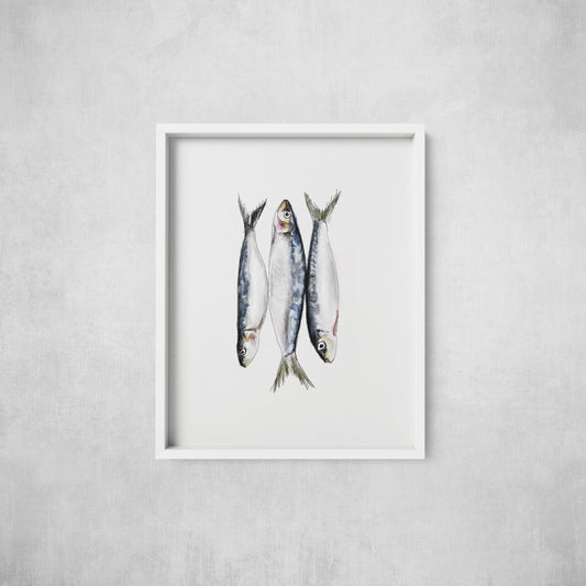 Packed Sardines - Print