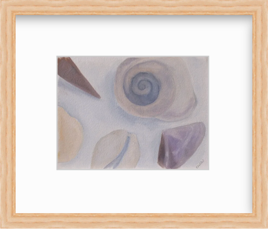 Seashell Studies - Original