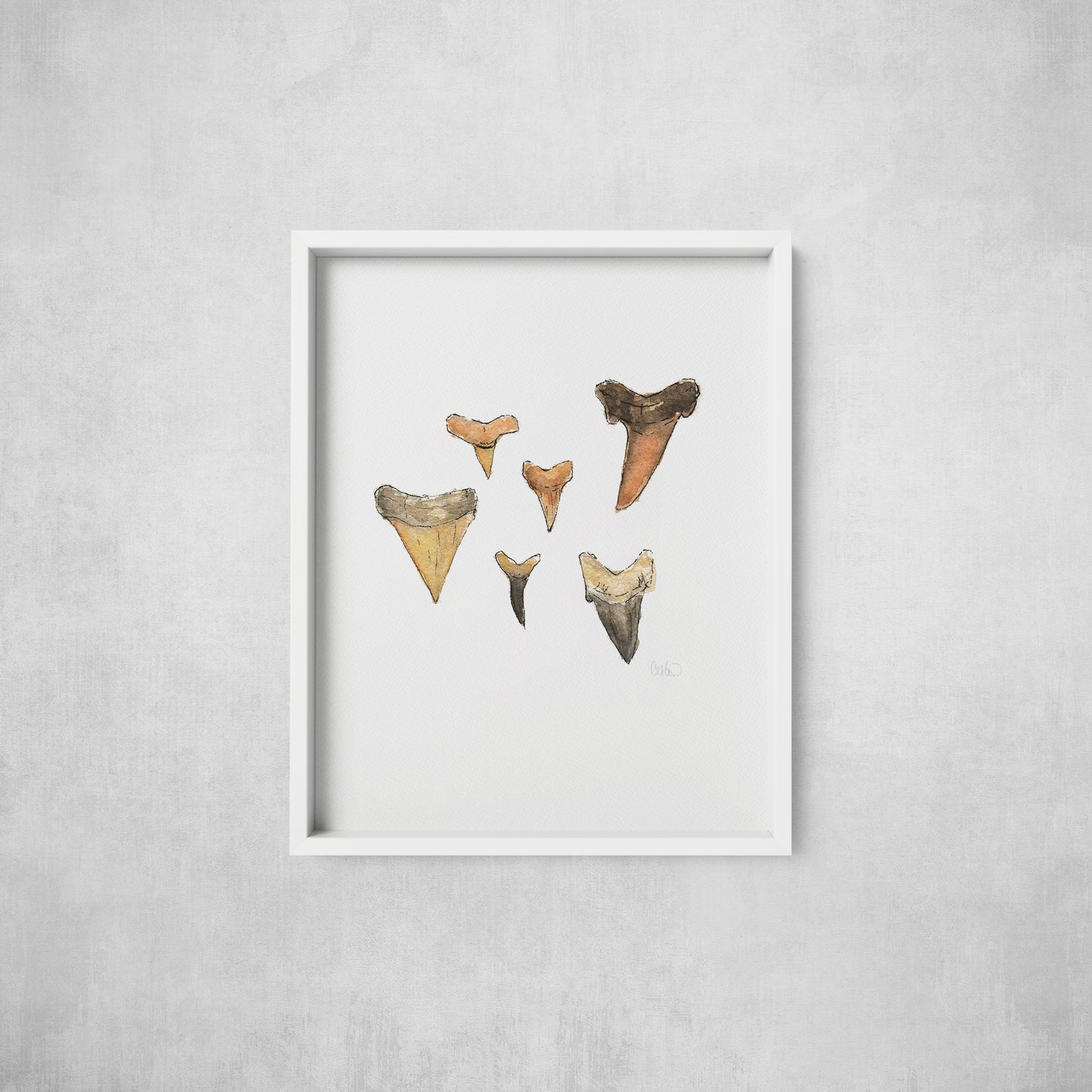 Shark Teeth - Print