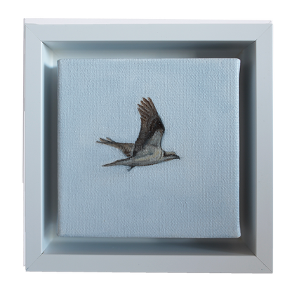 Framed mini osprey painting by Candace Ceslow — 4x4 inch coastal bird artwork with soft sky background.