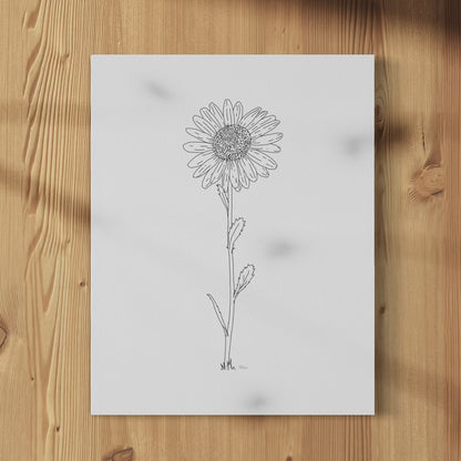 A framed print of a hand-drawn black ink illustration of a single daisy, displayed on a wall.