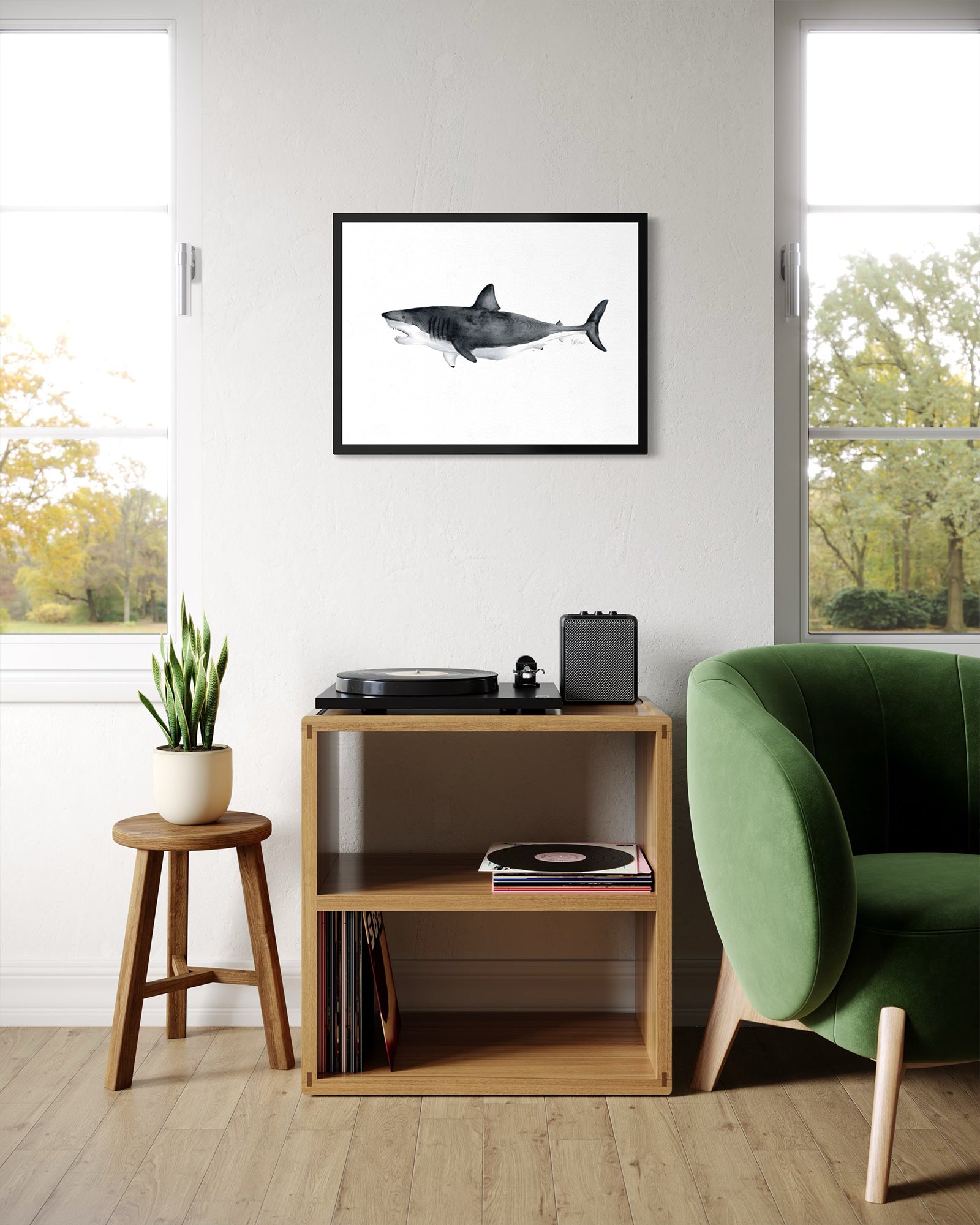 Large great white shark watercolor-style art print in black frame above record player in modern living room by Candace Ceslow