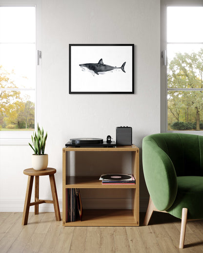 Large great white shark watercolor-style art print in black frame above record player in modern living room by Candace Ceslow