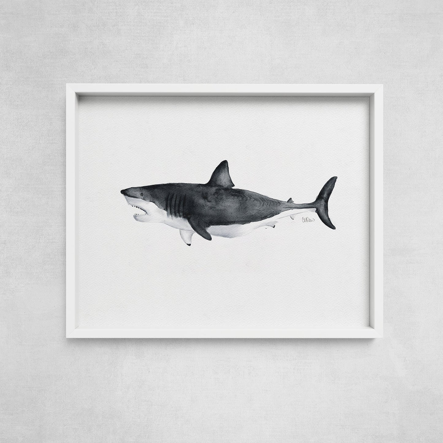 Watercolor-style great white shark art print in white gallery frame by Candace Ceslow