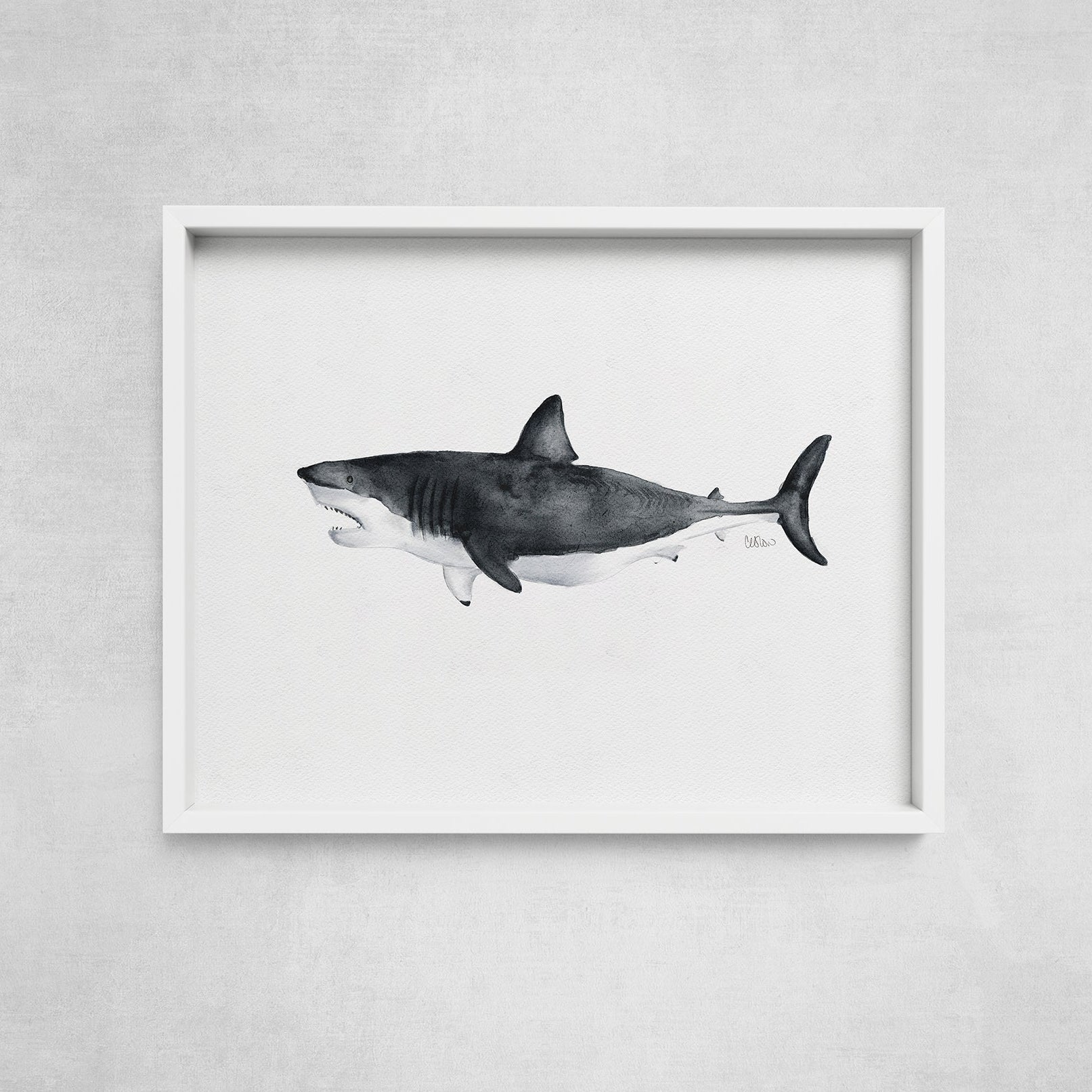 Watercolor-style great white shark art print in white gallery frame by Candace Ceslow
