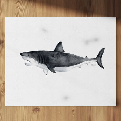 The Record Breaker great white shark watercolor-style art print on wood background by Candace Ceslow