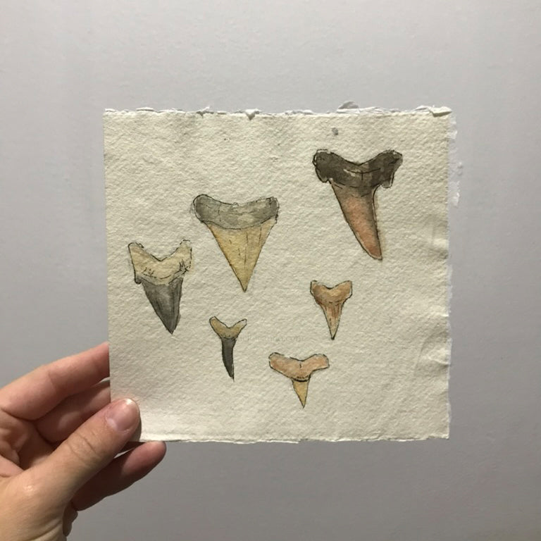 Original Shark Teeth watercolor painting held up, showing six fossilized shark teeth in earth tones, by Candace Ceslow