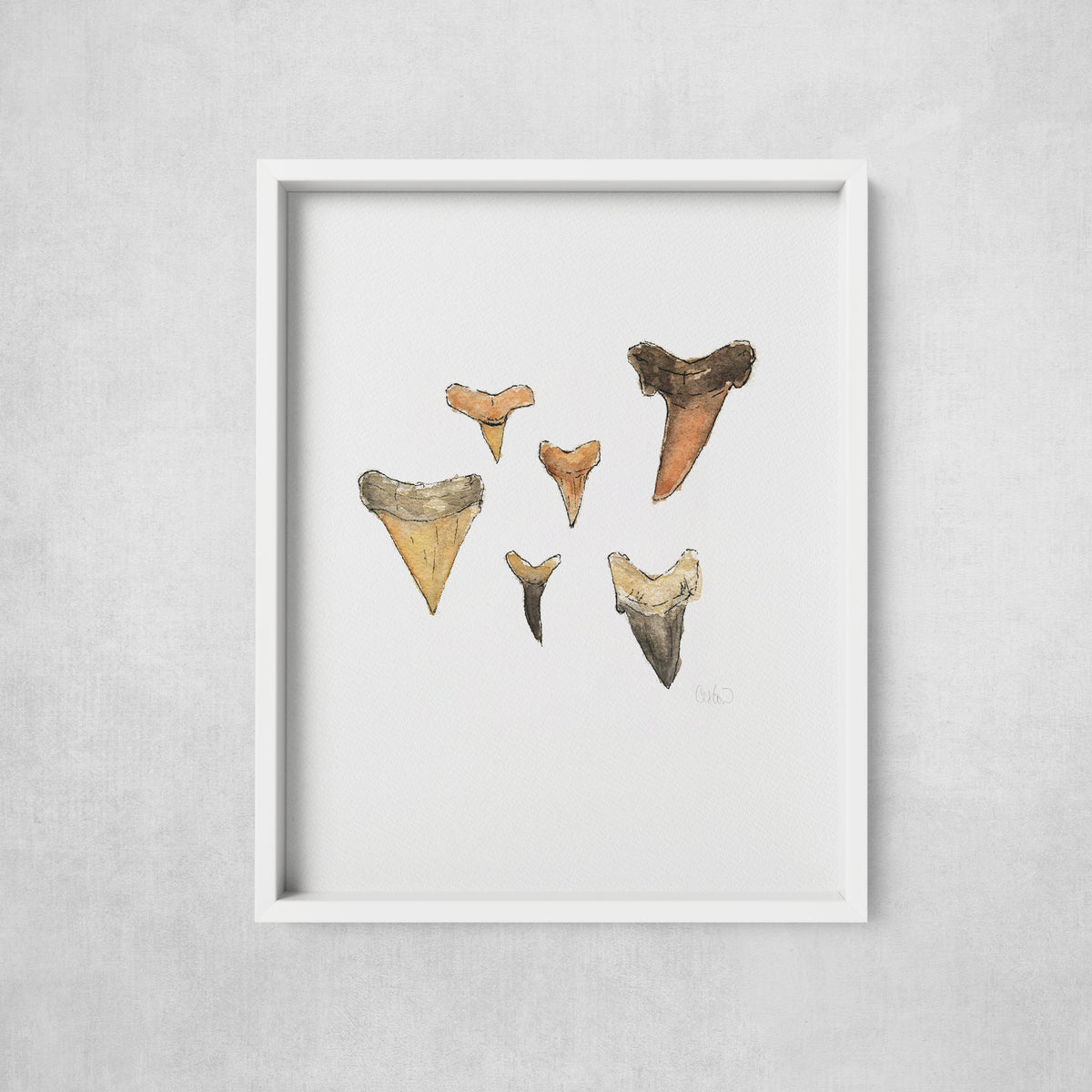 Shark Teeth watercolor art print in a frame, coastal fossil art by Candace Ceslow