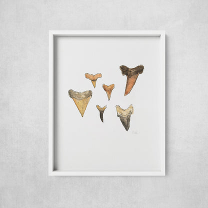 Shark Teeth watercolor art print in a frame, coastal fossil art by Candace Ceslow