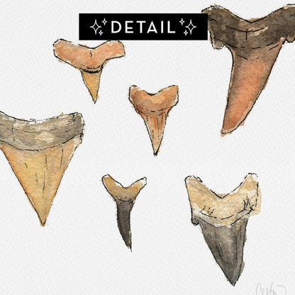 Close-up detail of Shark Teeth watercolor print showing fossilized shark tooth textures, by Candace Ceslow