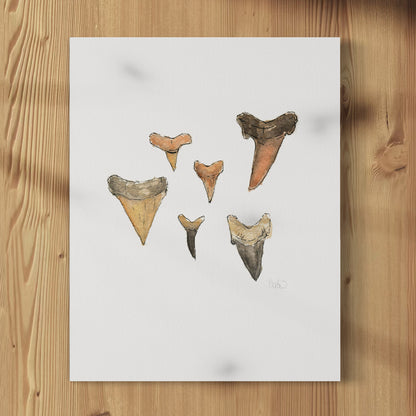 Shark Teeth fine art print, unframed, watercolor painting of fossilized shark teeth by Candace Ceslow